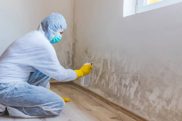 Licensed Mold Testing service in Jonestown, TX - WQB Mold Removal