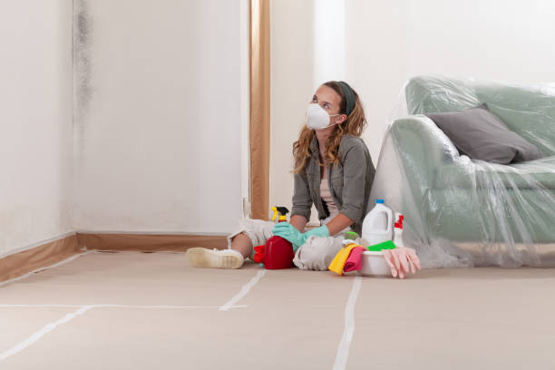 Reliable Mold Testing contractor in Jonestown, TX by WQB Mold Removal